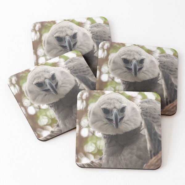 Item preview, Harpy eagle designed and sold by Luis Sandoval.