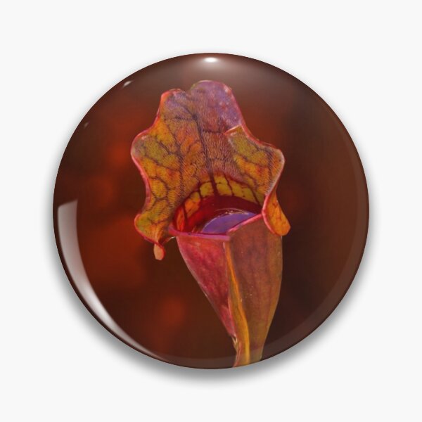 Item preview, Pitcher Plant designed and sold by Slydell1.