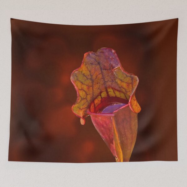 Item preview, Pitcher Plant designed and sold by Slydell1.