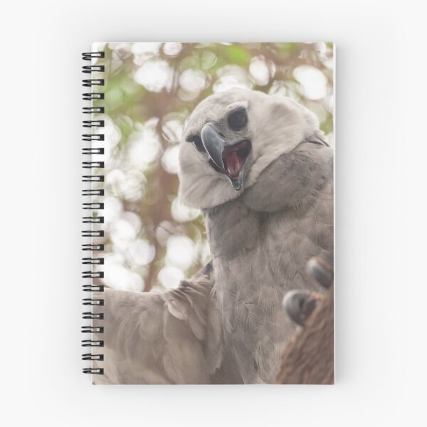 Item preview, Harpy eagle designed and sold by Luis Sandoval.