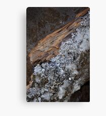 confetti Canvas Print