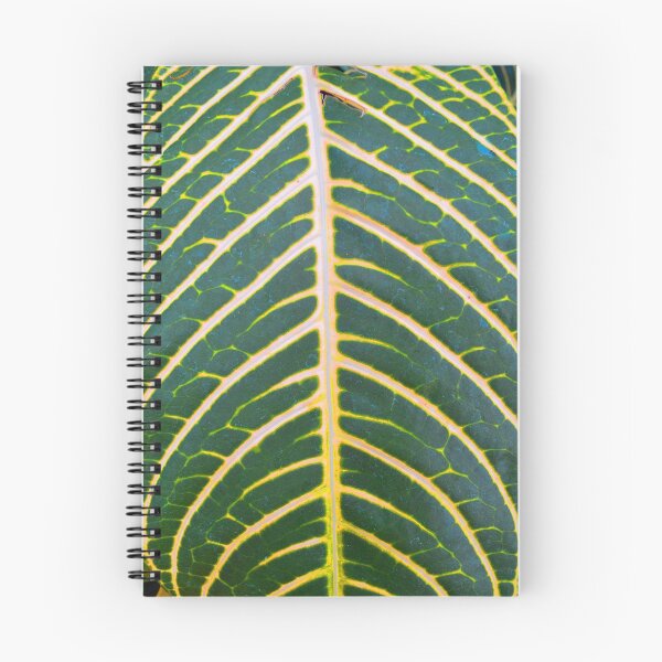 Item preview, New Leaf designed and sold by Jeffrey Kimsey-Carroll.