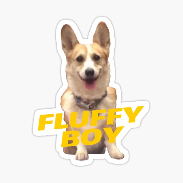 Fluffy Boy Cheddar Sticker By Iamralp Redbubble