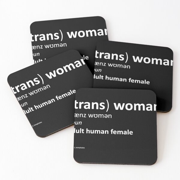 Item preview, Trans Women Are Female - Stickers Etc. designed and sold by Sydney_Cardew.