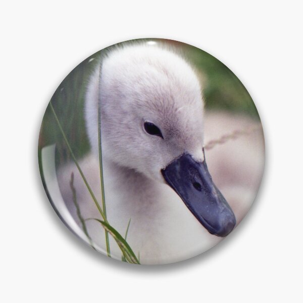 Item preview, Cygnet designed and sold by Michael Haslam.