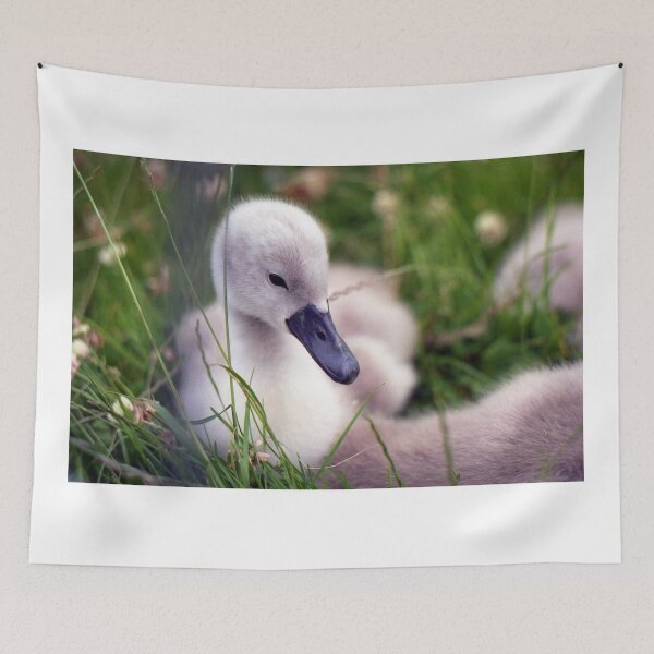 Item preview, Cygnet designed and sold by Michael Haslam.