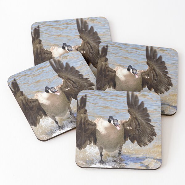 Item preview, Goose, Canadian Goose, Yoga wear designed and sold by Ericyaw.