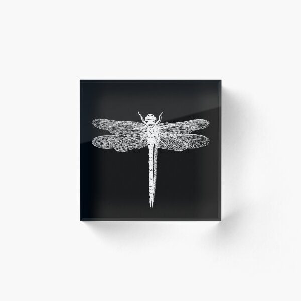 Dragonfly Acrylic Block