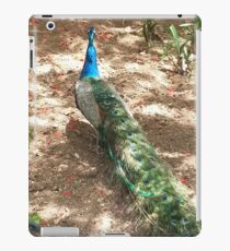 Peacock Beauty iPad Case/Skin