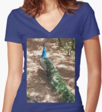 Peacock Beauty Fitted V-Neck T-Shirt