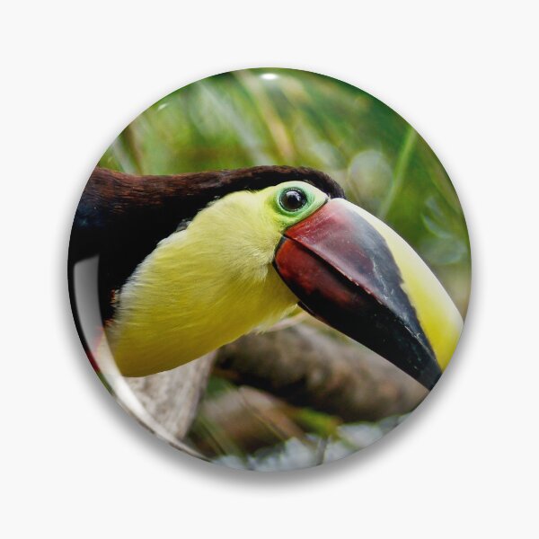 Item preview, cli toucan designed and sold by pcfyi.