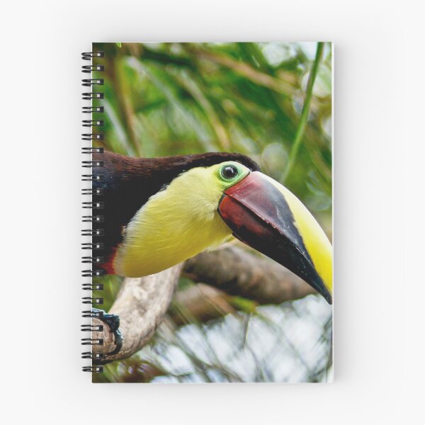 Item preview, cli toucan designed and sold by pcfyi.