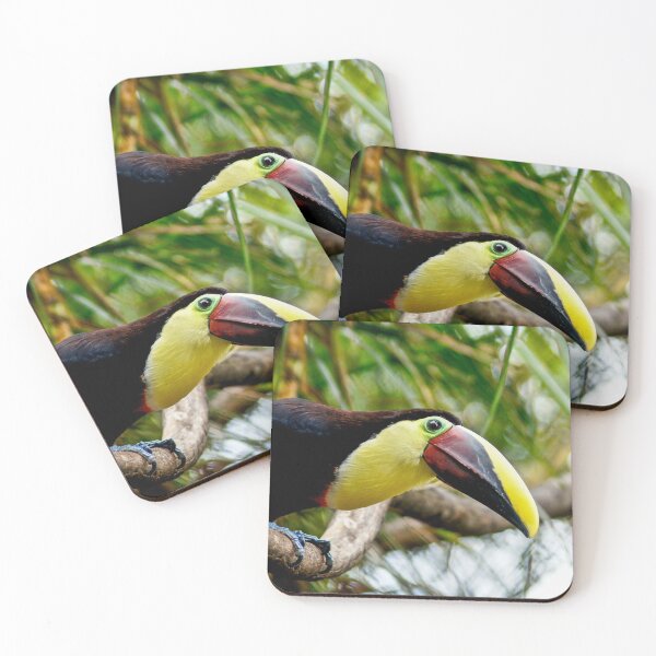 Item preview, cli toucan designed and sold by pcfyi.