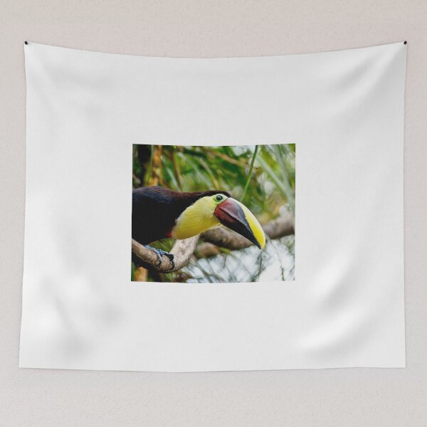 Item preview, cli toucan designed and sold by pcfyi.