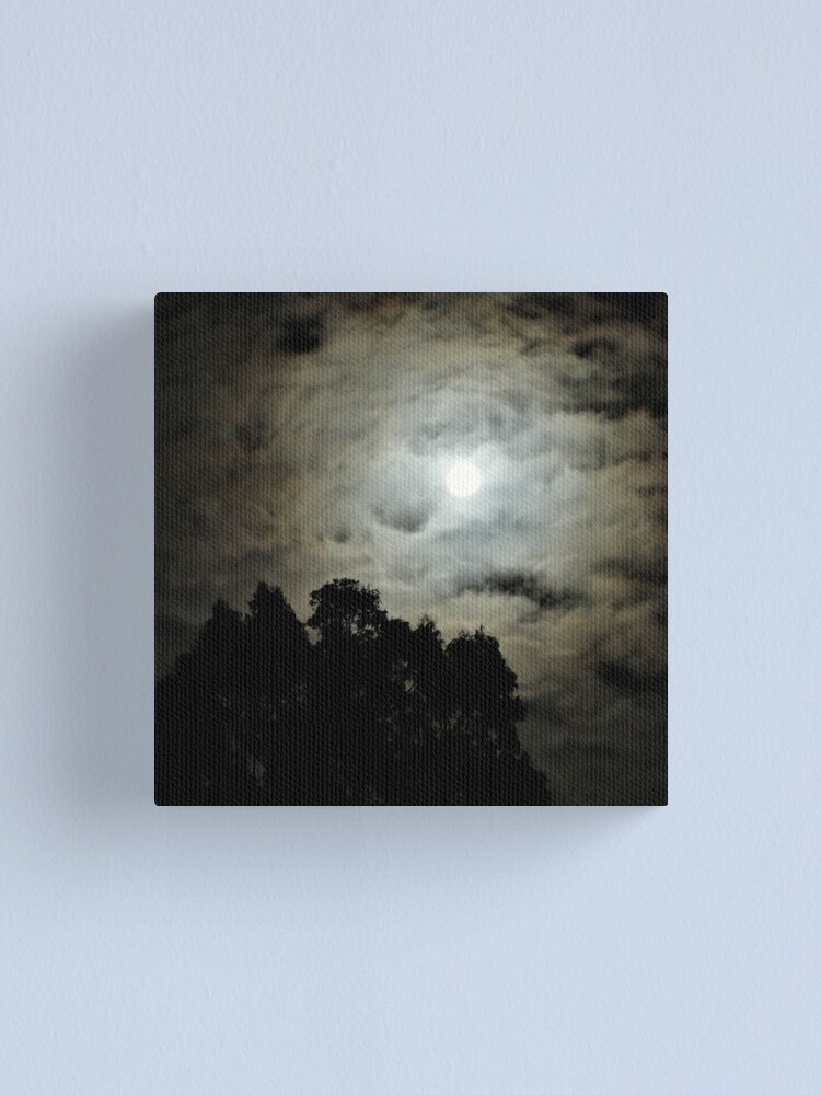 Alternate view of Not an astronomy Moon Canvas Print