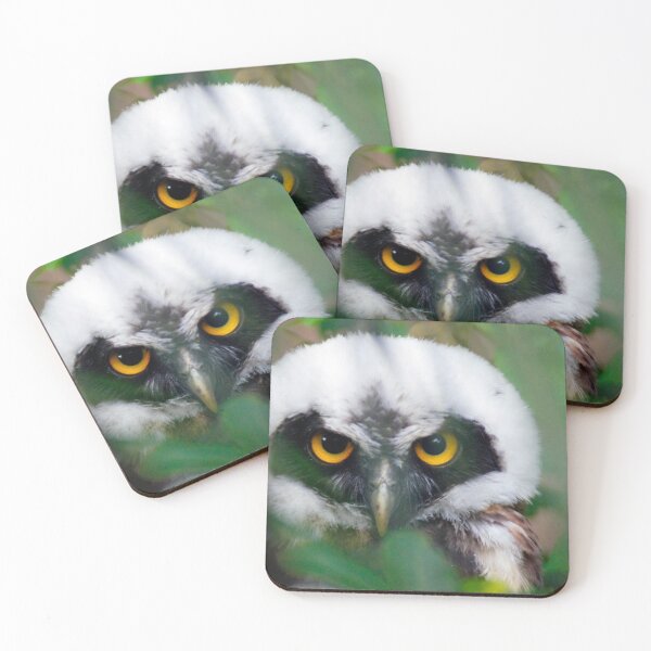 Item preview, cli hoot designed and sold by pcfyi.