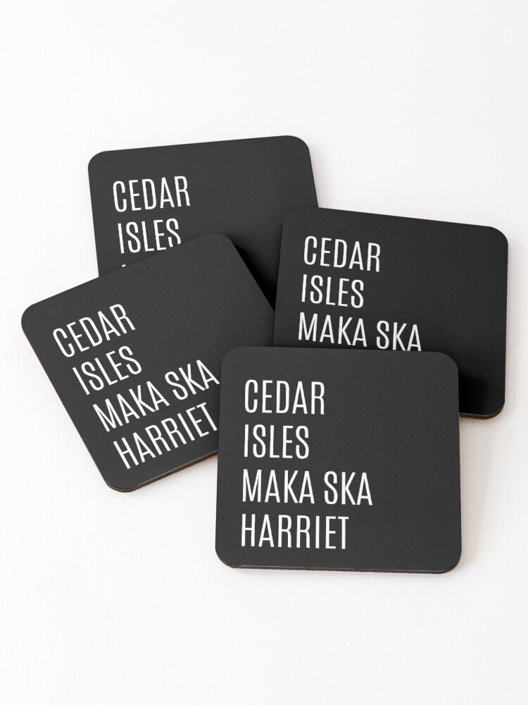 Coasters (Set of 4), Minneapolis Chain of Lakes designed and sold by Maren Misner