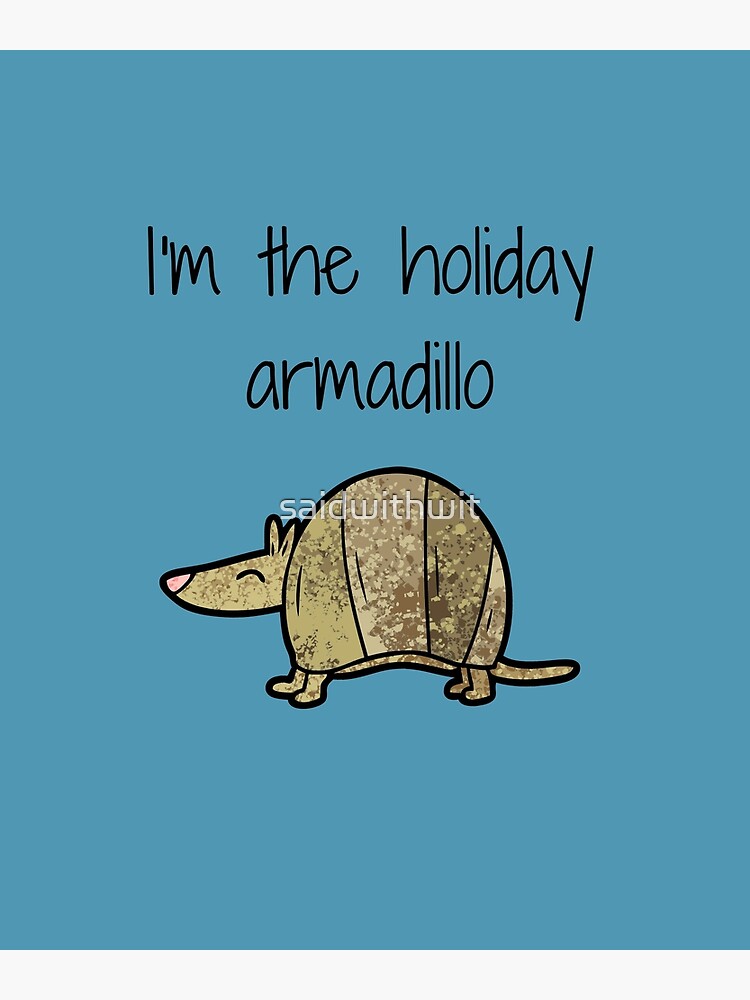 Friends Holiday Armadillo [Book]