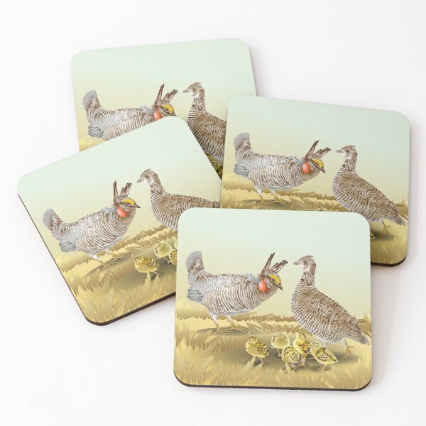Item preview, Pollos de pradera menores designed and sold by ginkodragon.