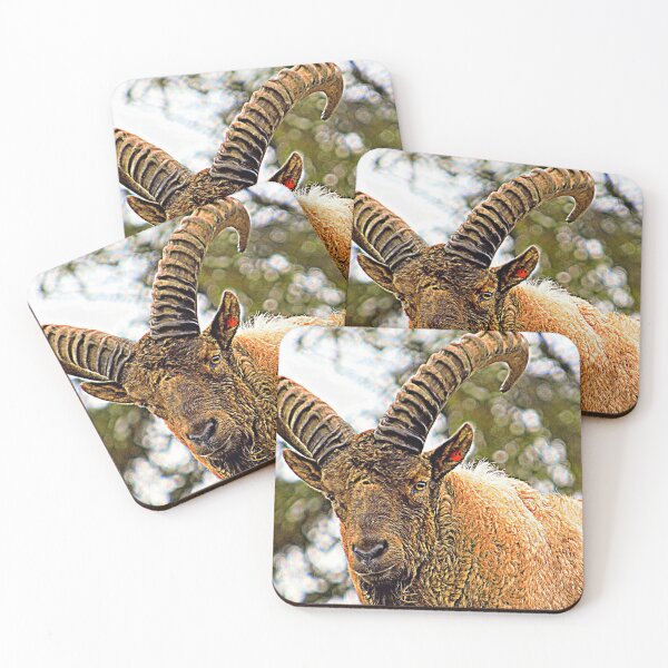 Item preview, Goat, yoga wear designed and sold by Ericyaw.
