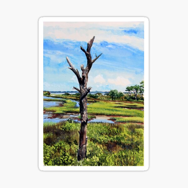 Assateague Overlook Sticker