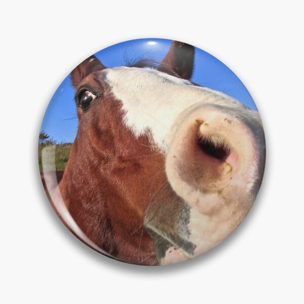Item preview, Why the long face? designed and sold by Patman61.