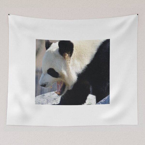 Item preview, Panda bear, Giant panda designed and sold by Ericyaw.