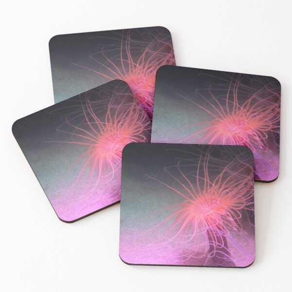 Item preview, funky little sea anemone designed and sold by cyanbee.