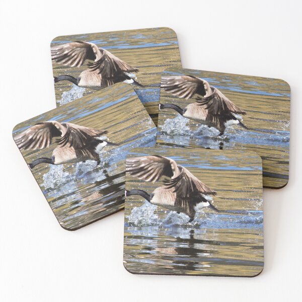 Item preview, Goose chase designed and sold by Ericyaw.