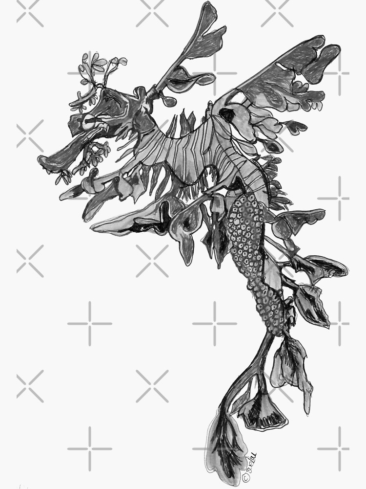 Steve the Leafy Seadragon in Grey by Wildcard-Sue