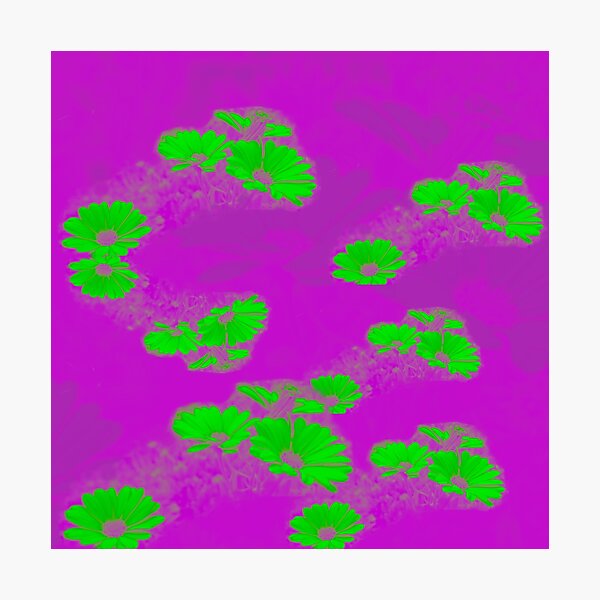 Green flowers over purple Photographic Print