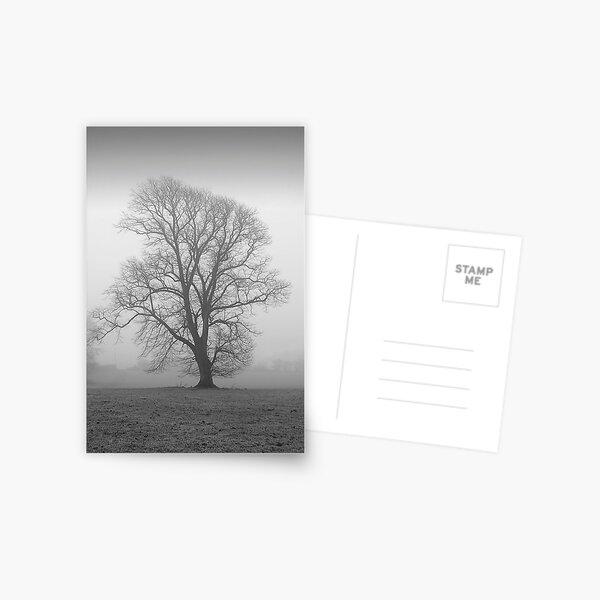 Der einsame Baum im Nebel Postkarte