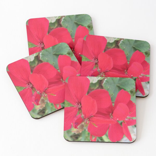 Item preview,  geranium designed and sold by Dee121.