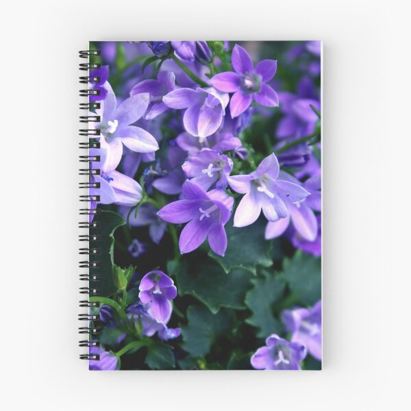 Artikelvorschau, Summer's Blue Stars entworfen und verkauft von SmoothBreeze7 | Liz Collet Photography.