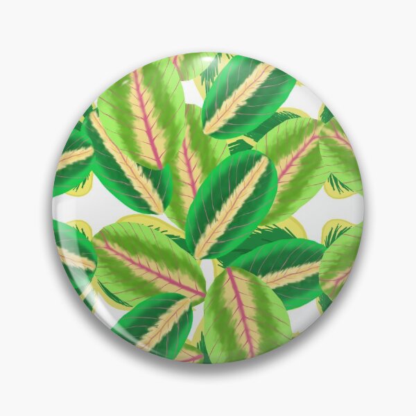 Item preview, Lala Prayer Plant Doodle Maranta designed and sold by LalaDoodleBug.
