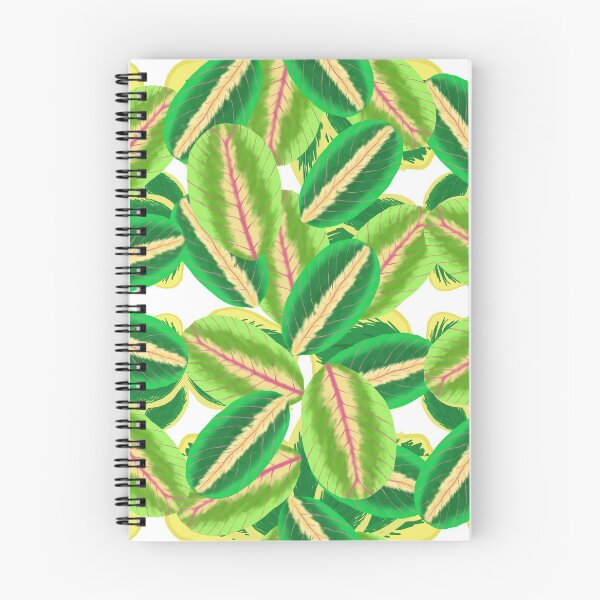 Item preview, Lala Prayer Plant Doodle Maranta designed and sold by LalaDoodleBug.