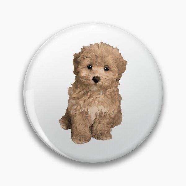 Item preview, Cute Adorable Maltipoo designed and sold by Tara R.