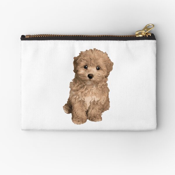 Maltipoo Dogs Accessories for Sale Redbubble