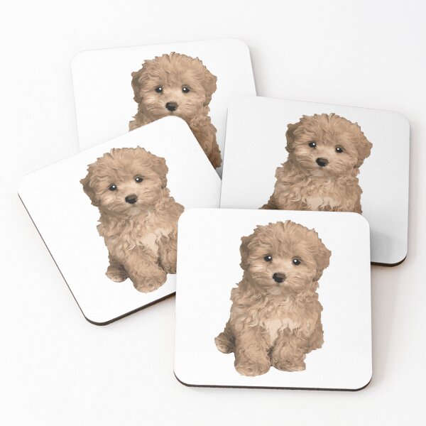 Item preview, Cute Adorable Maltipoo designed and sold by Tara R.