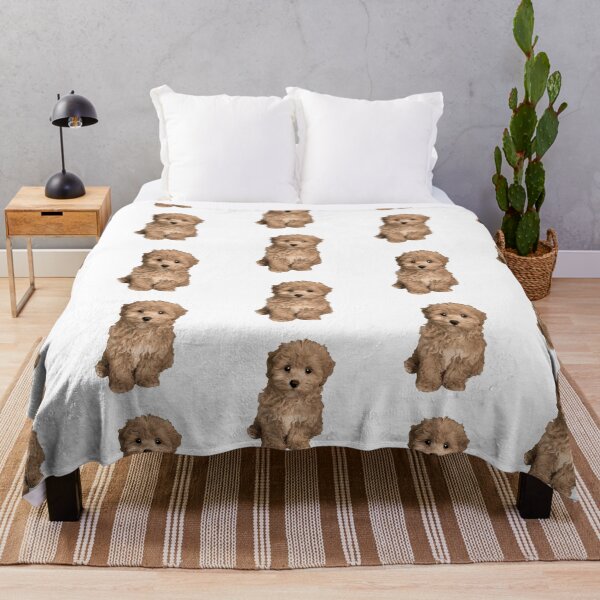 Cute Adorable Maltipoo Throw Blanket