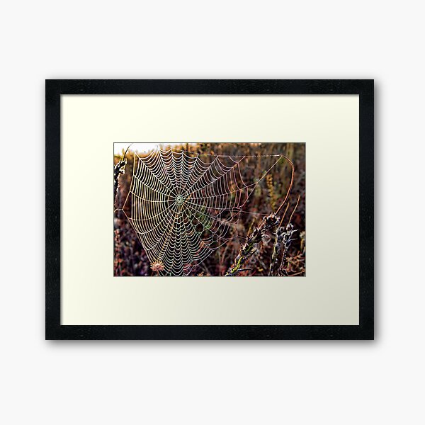 Item preview, Web In A Field designed and sold by Carolyn  Fletcher.
