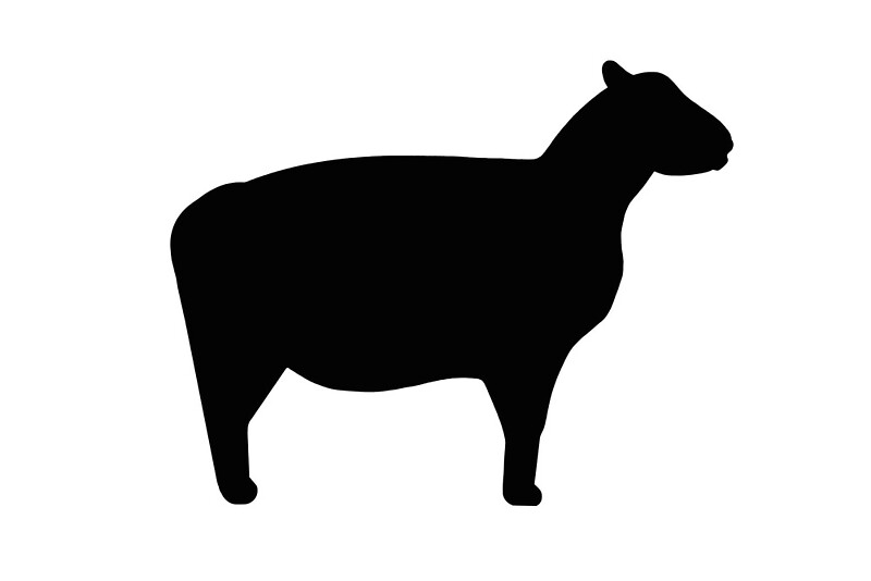 "Sheep silhouette" by naturaldigital | Redbubble