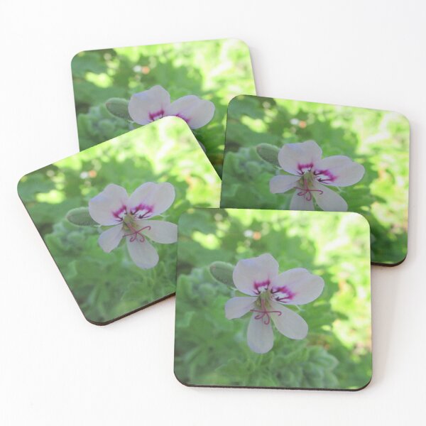 Item preview,  geranium designed and sold by Dee121.