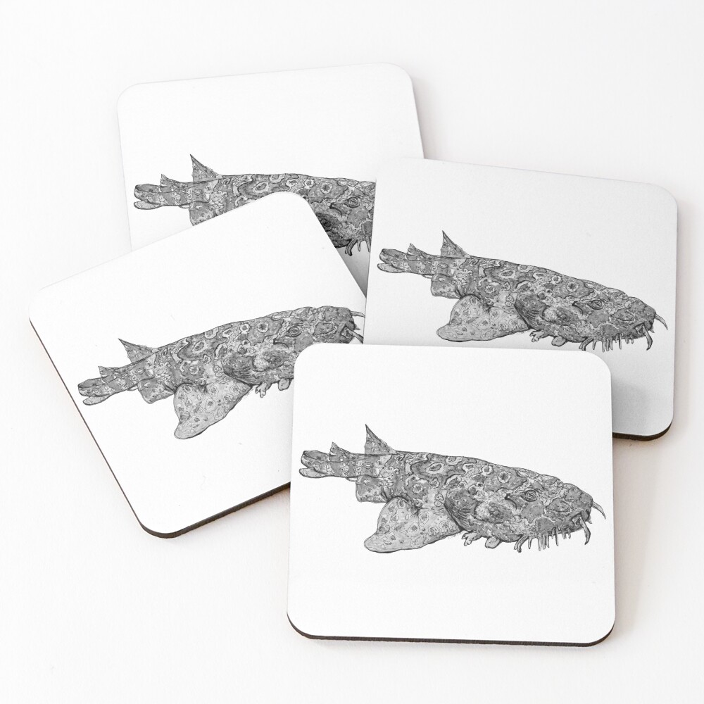 Penelope the Wobbygong Shark Coasters (Set of 4)