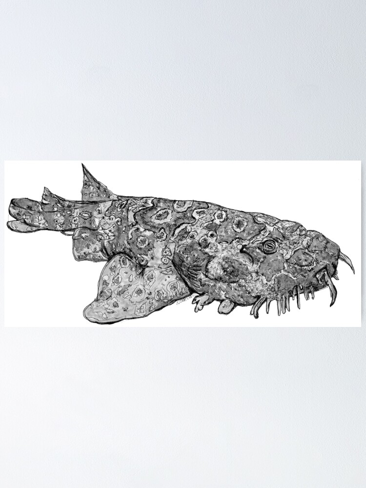 Alternate view of Penelope the Wobbygong Shark Poster