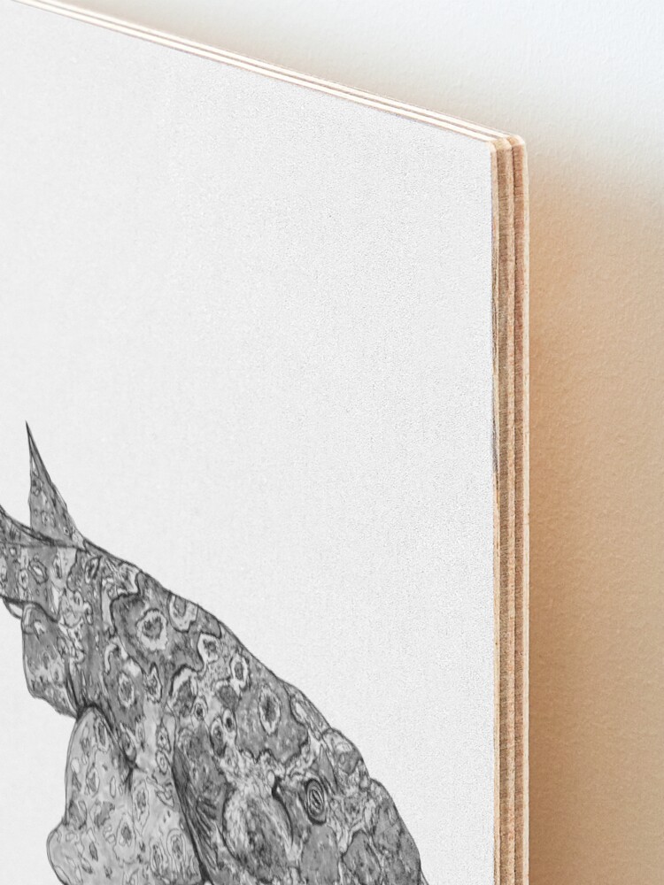 Alternate view of Penelope the Wobbygong Shark Mounted Print