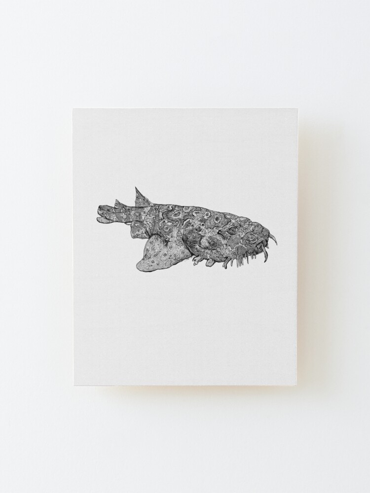 Alternate view of Penelope the Wobbygong Shark Mounted Print