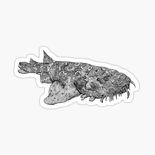 Penelope the Wobbygong Shark Sticker