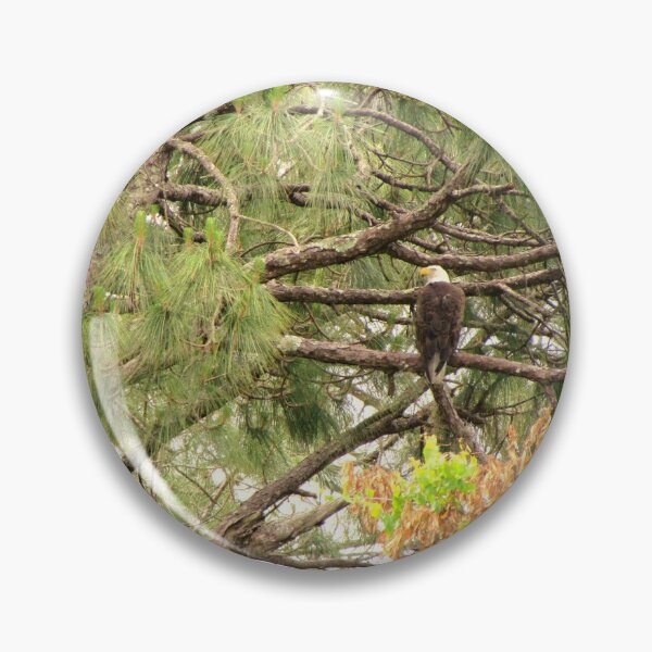 Item preview, Bald Eagle in Autumn designed and sold by Chel Summers .