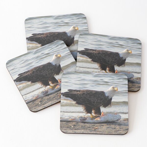 Item preview, Eagle with Fish designed and sold by Chel Summers .